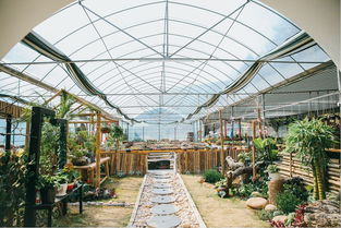 國慶放大招 百島洞頭十款精品主題游震撼來襲,準備好接招了嗎