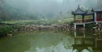 八條旅游精品線(xiàn)路 帶你漫步林間溪水