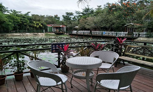 特色客棧專業(yè)團隊在線服務 海南荷花生態(tài)園