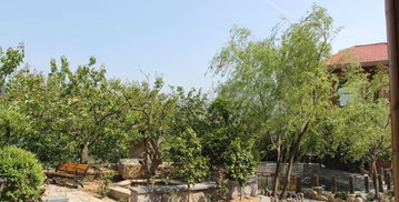 嶗山北宅迦南美地生態(tài)園門票,嶗山北宅迦南美地生態(tài)園門票預(yù)訂,嶗山北宅迦南美地生態(tài)園門票價格,去哪兒網(wǎng)門票