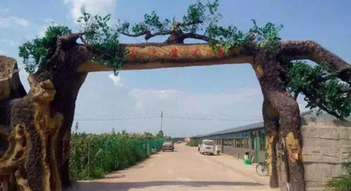 什么 僅需1元即可搶購這個灤州生態(tài)園的綠色生菜一大顆,這里還有菜地可認(rèn)養(yǎng)