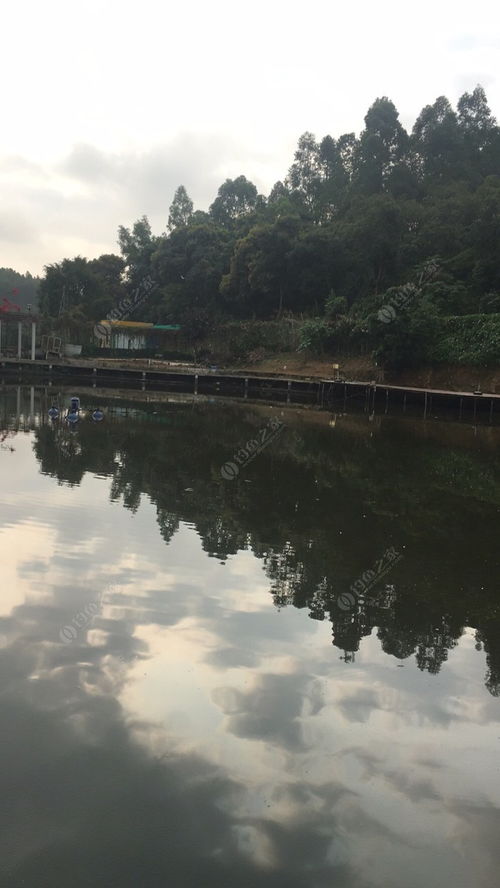 探訪(fǎng)平湖生態(tài)園與九龍?zhí)渡鷳B(tài)園 城市綠肺的生態(tài)魅力