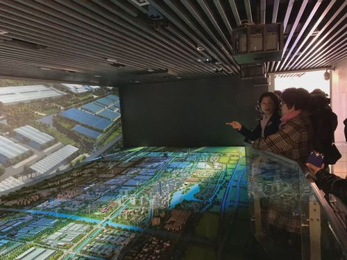 九龍?zhí)渡鷳B(tài)園四年簽約項(xiàng)目超百個(gè)，總投資額突破460億元，生態(tài)經(jīng)濟(jì)蓬勃發(fā)展