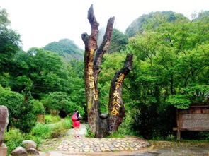 16周歲以下免票游世遺，668元泰寧雙動車2日游 大金湖、寨下大峽谷、九龍潭、尚書第全覽