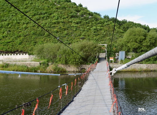 自然與文化的交融 探訪鄂倫春生態園與九龍潭生態園的生態魅力