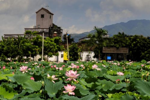 快看！博羅九龍?zhí)渡鷳B(tài)園入選惠州市第二批鄉(xiāng)村旅游精品線路