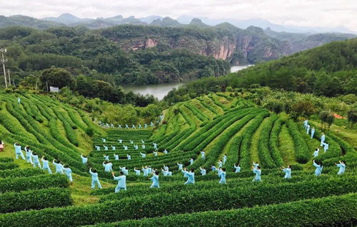 浴境元康養(yǎng)之氣，九龍?zhí)渡鷳B(tài)園祝您端午安康